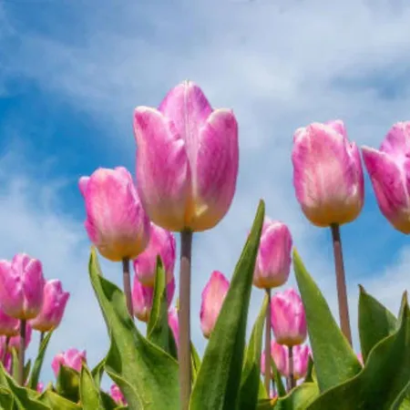 032 Prázdninový dům *